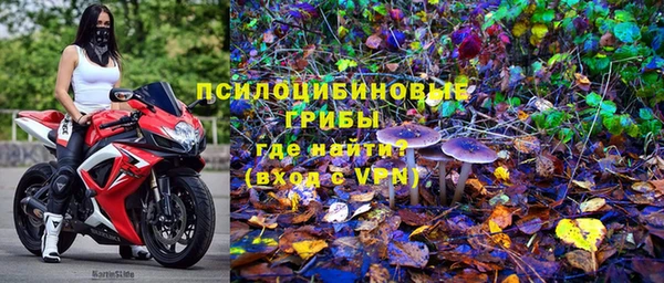 дживик Арсеньев
